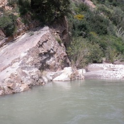 Pollina river